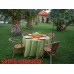SET 4 SEDIE A POLTRONCINA IN GIUNCO